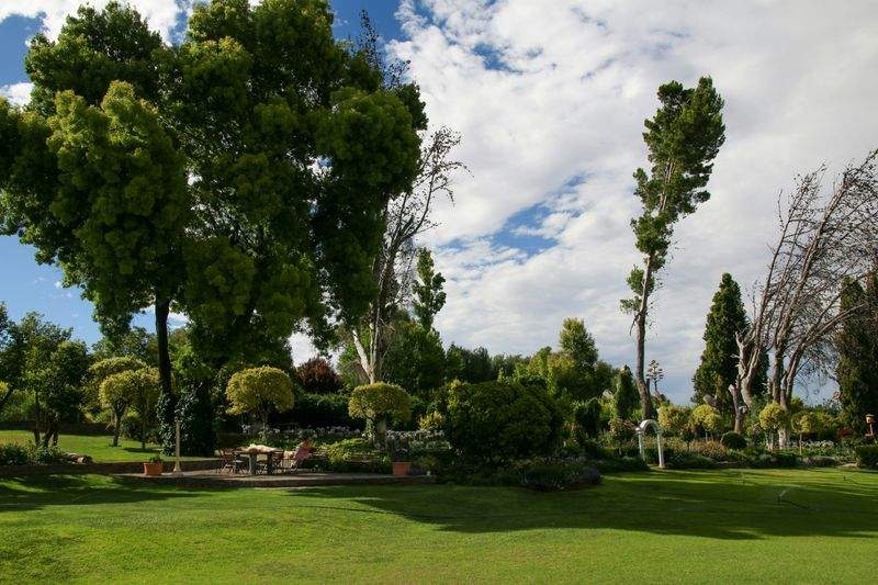 Spring Refresh Ideas for a More Welcoming Garden