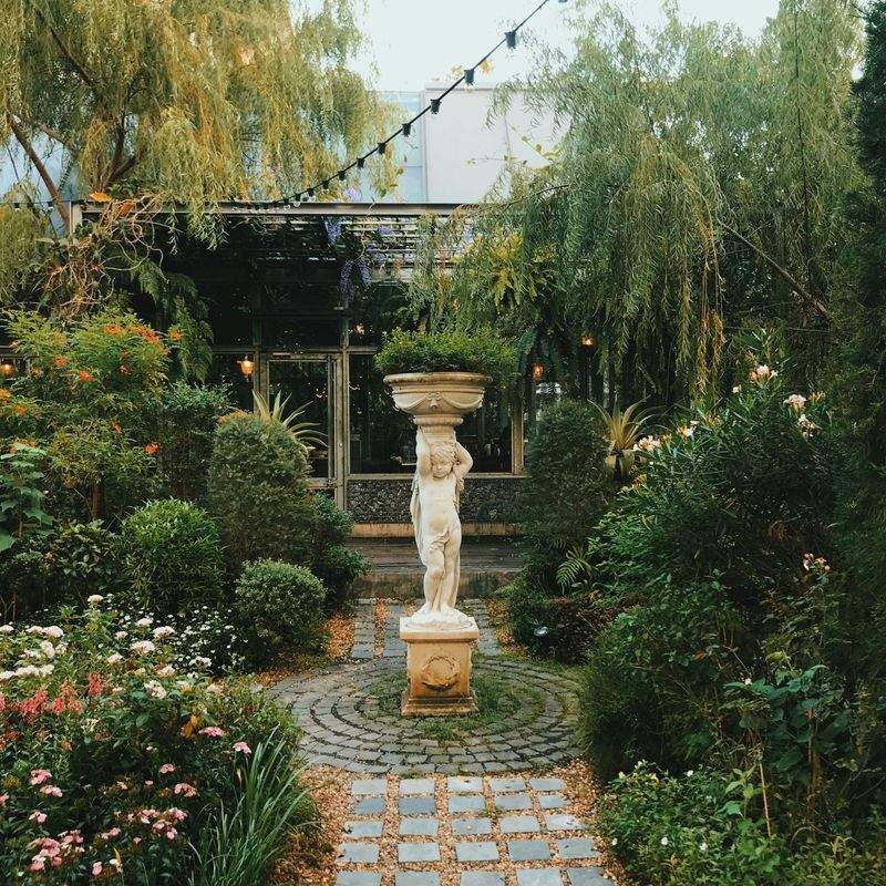 How to Keep Your Garden Looking Healthy Through Dry Spells