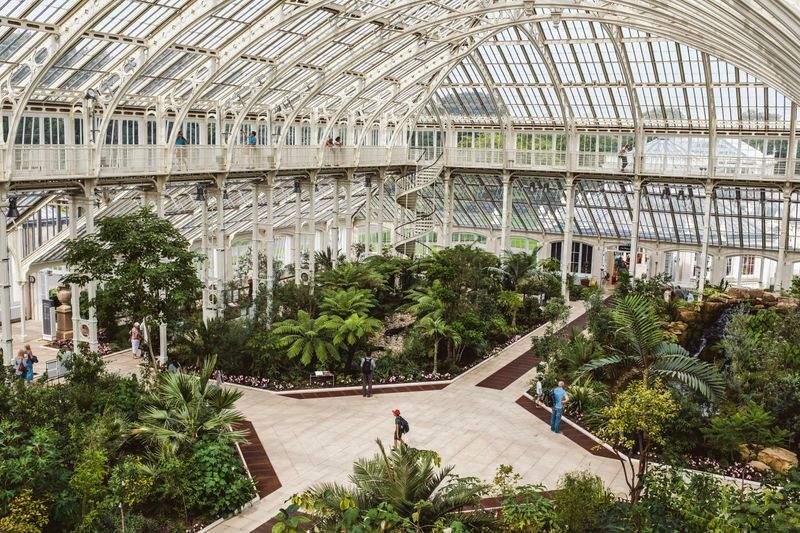 Maple Grove Garden Co. 2