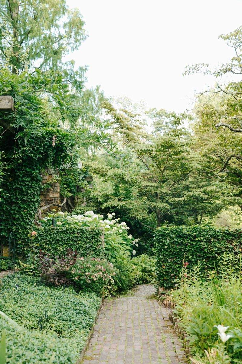 Maple Grove Garden Co. 6