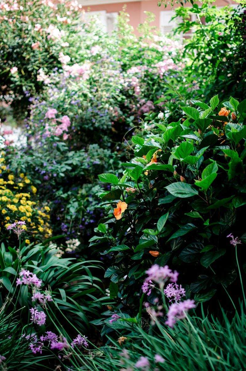 Maple Grove Garden Co. 7