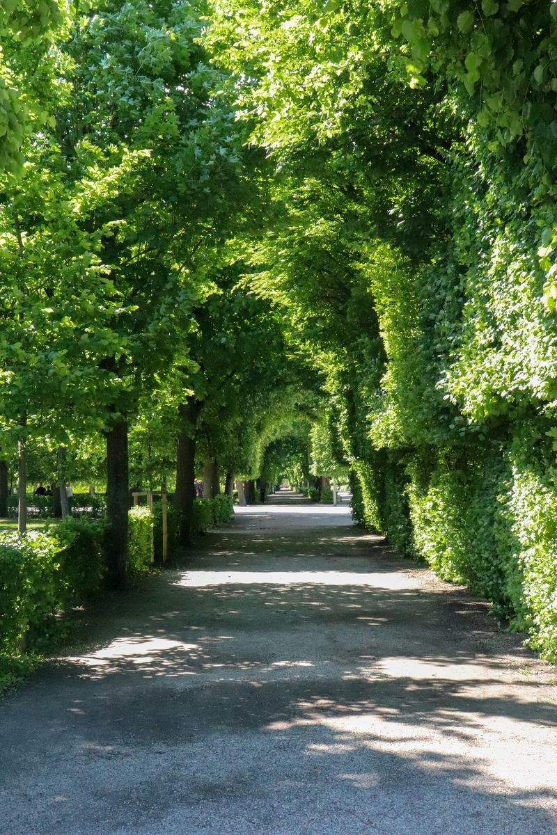 Garden design and planting